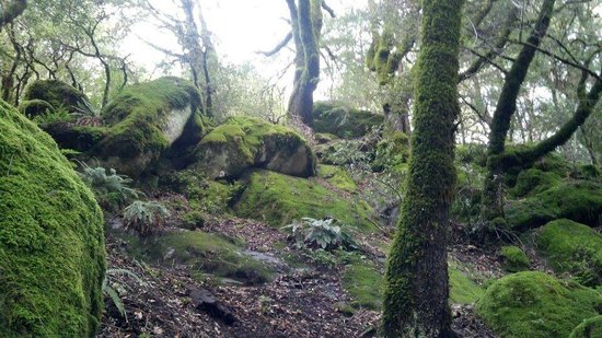 castle-rock-state-park