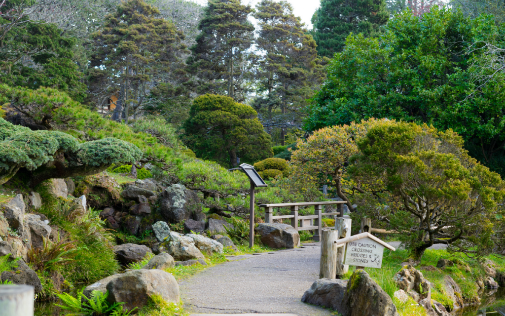 japanese garden