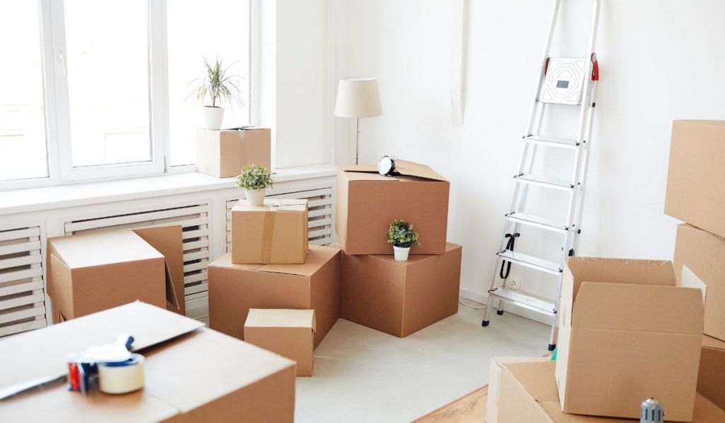 organizing stuff in different box sizes for moving out of the apartment