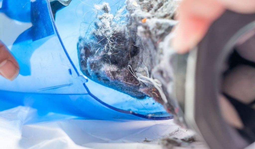 dust from a handheld vacuum