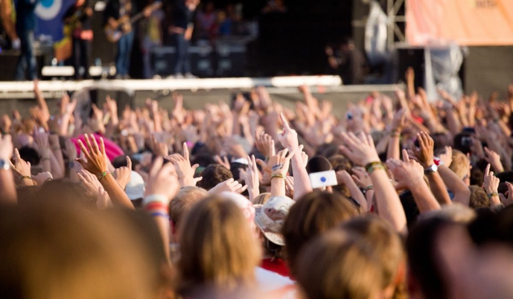 crowd in a music festival