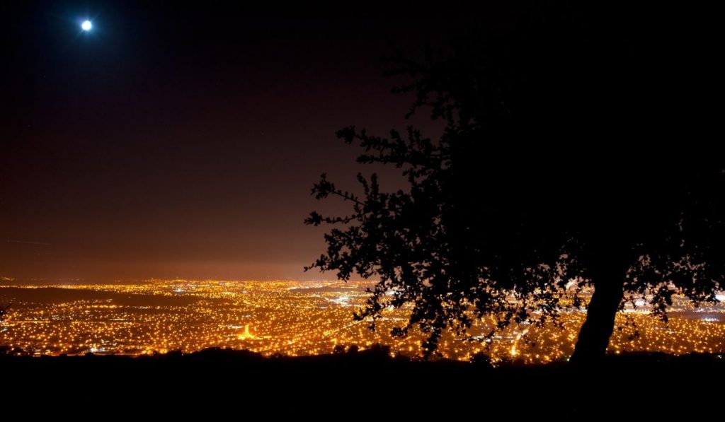 overlooking the city at night