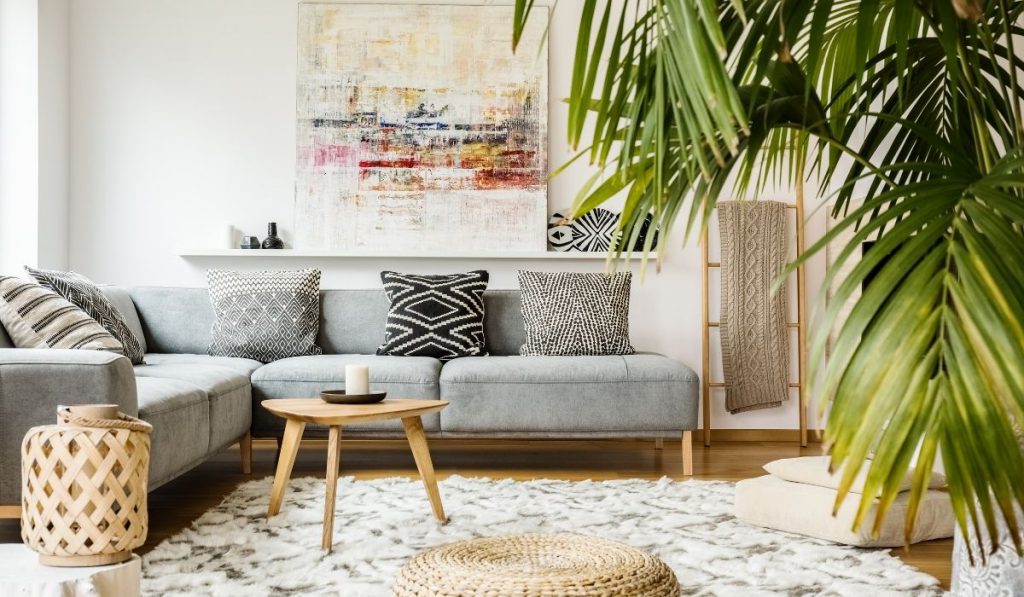 staged living area with plant