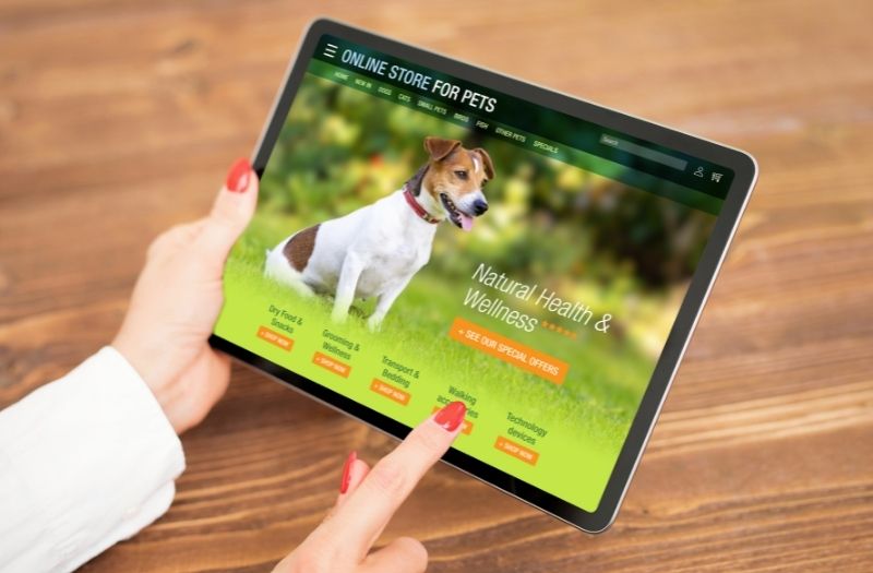 woman browsing on her ipad for pet supplies