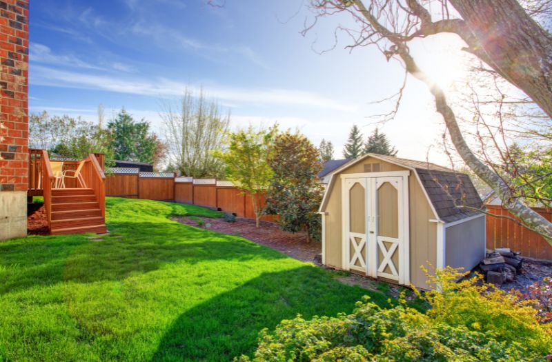 cute shed in the big backyard