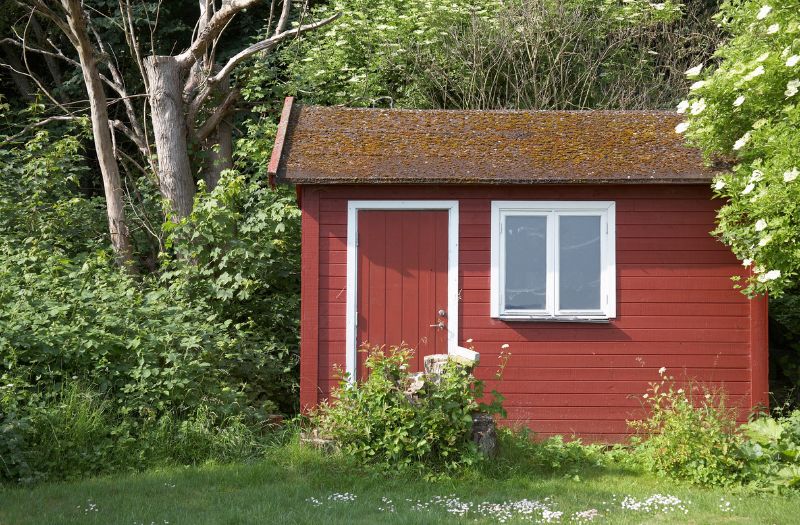 little brown shed in the backyard