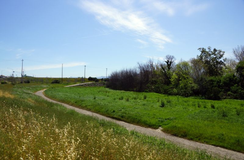 Coyote Creek Trail