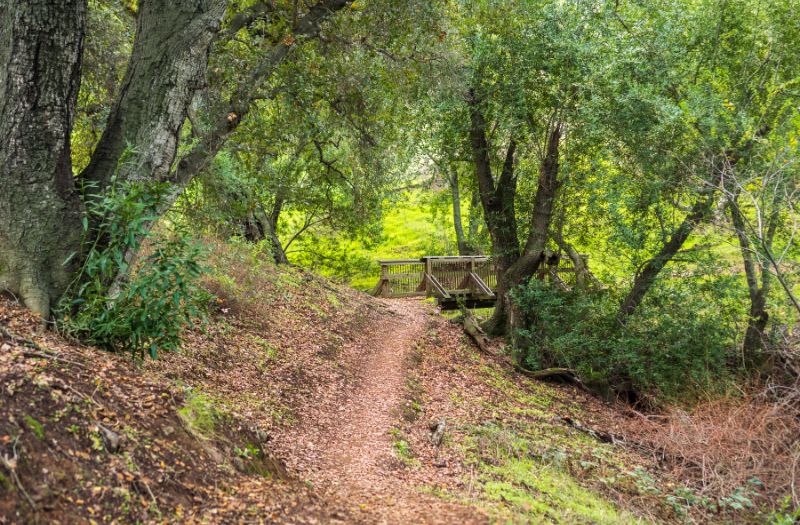 Hiking trail in Santa Teresa County Park