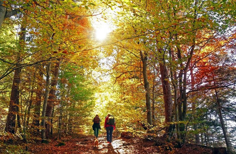 couple beautiful autumn hiking