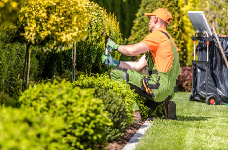 man landscaping a property