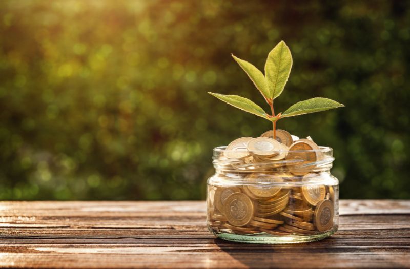 saved coins in a small glass jar with a little plant