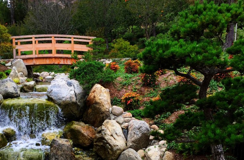 Japanese Friendship Garden