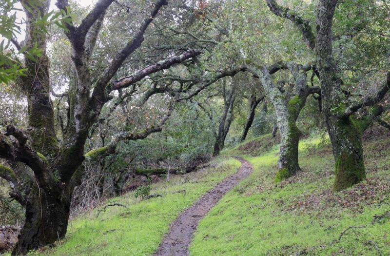 hiking trail